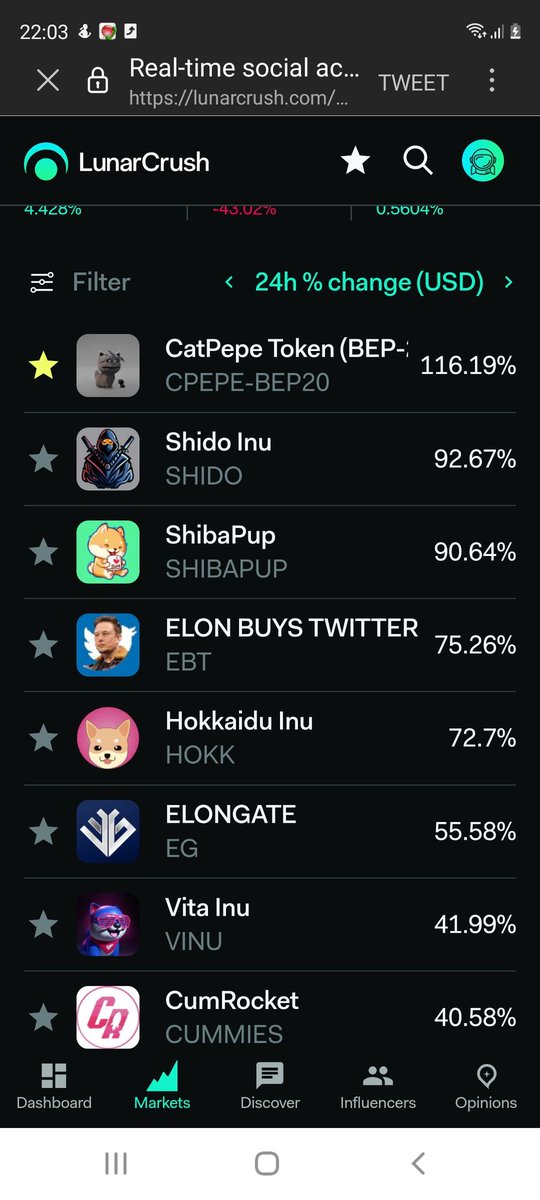 alternatewaz's tweet photo. #catpepe is the top top gaining meme coin for last 24 hours in lunar crush !!!!

Don't miss out , this is about to fly again !!

#catpepe #catpepetoken #catpepecrew #cpepe 

https://t.co/VlbkebZhut https://t.co/LXeh96uxXh