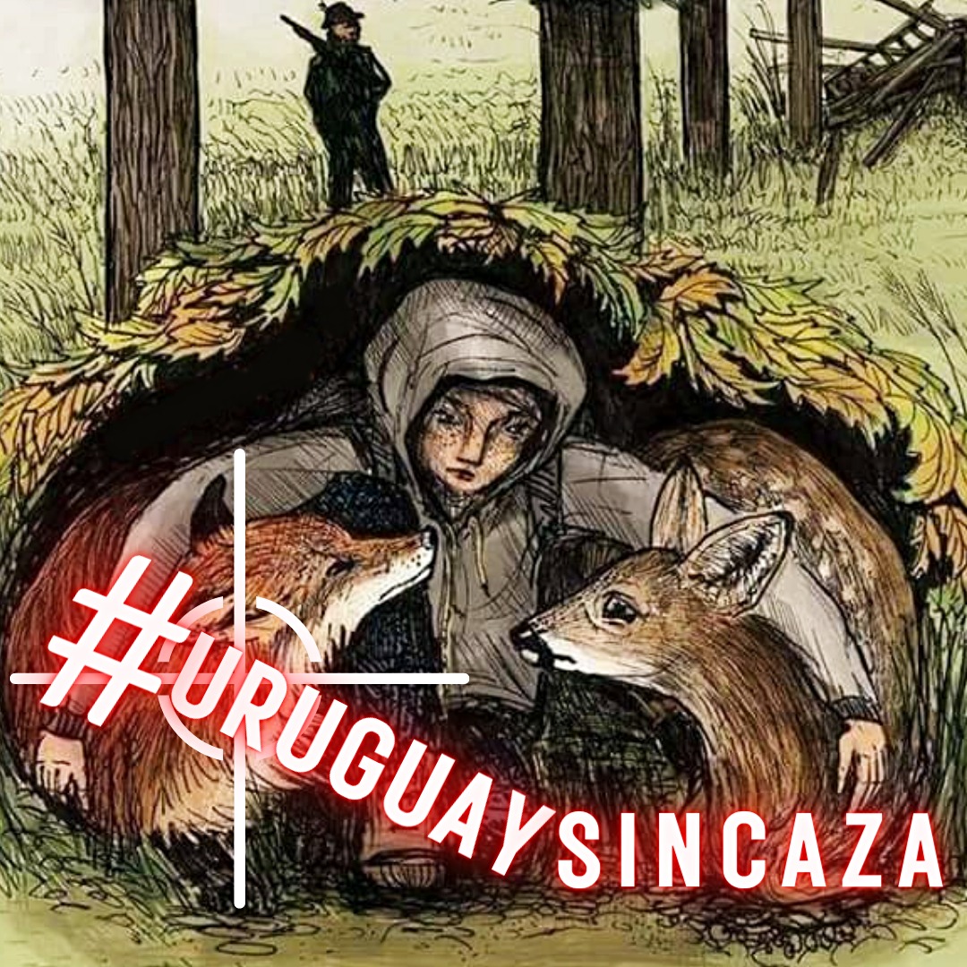 Rita_RodGon's tweet photo. #UruguaySinCaza https://t.co/V9mJCKGbbQ