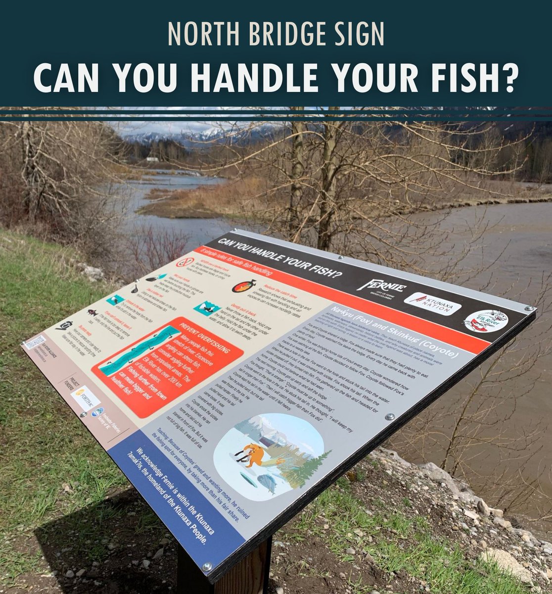 ElkRiverBC's tweet photo. Check out the new sign by Fernie's North Bridge! Thank you to Leanna Gravelle from the Ktunaxa Nation for collaborating on this project, and to the @CityofFernie for allowing us to place the sign. Thank you to @Go_Fish_BC and @FortisBC for funding. 

#fernie #scicomm #bcfishing https://t.co/l99o4586ZU