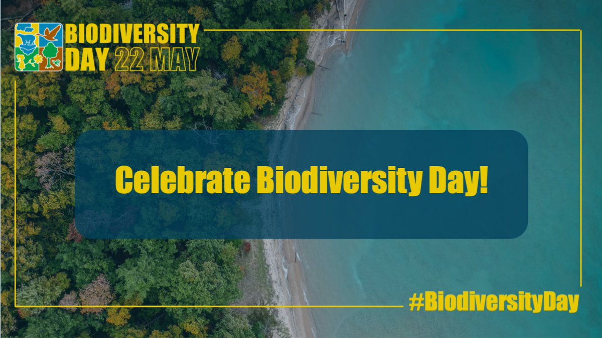 UNBiodiversity's tweet photo. 2⃣2⃣ May is #BiodiversityDay! 🌎🌍🌏💚

Since 1 May, we've shared 1⃣ action each day that you can take to support #biodiversity.🍄🦊🐠🌳🐋🍇

Action 2⃣2⃣: Celebrate Biodiversity Day!

Participate in celebrations and activities happening in your country!➡️https://t.co/MNvG2nx8to. https://t.co/aYJboaLCSY