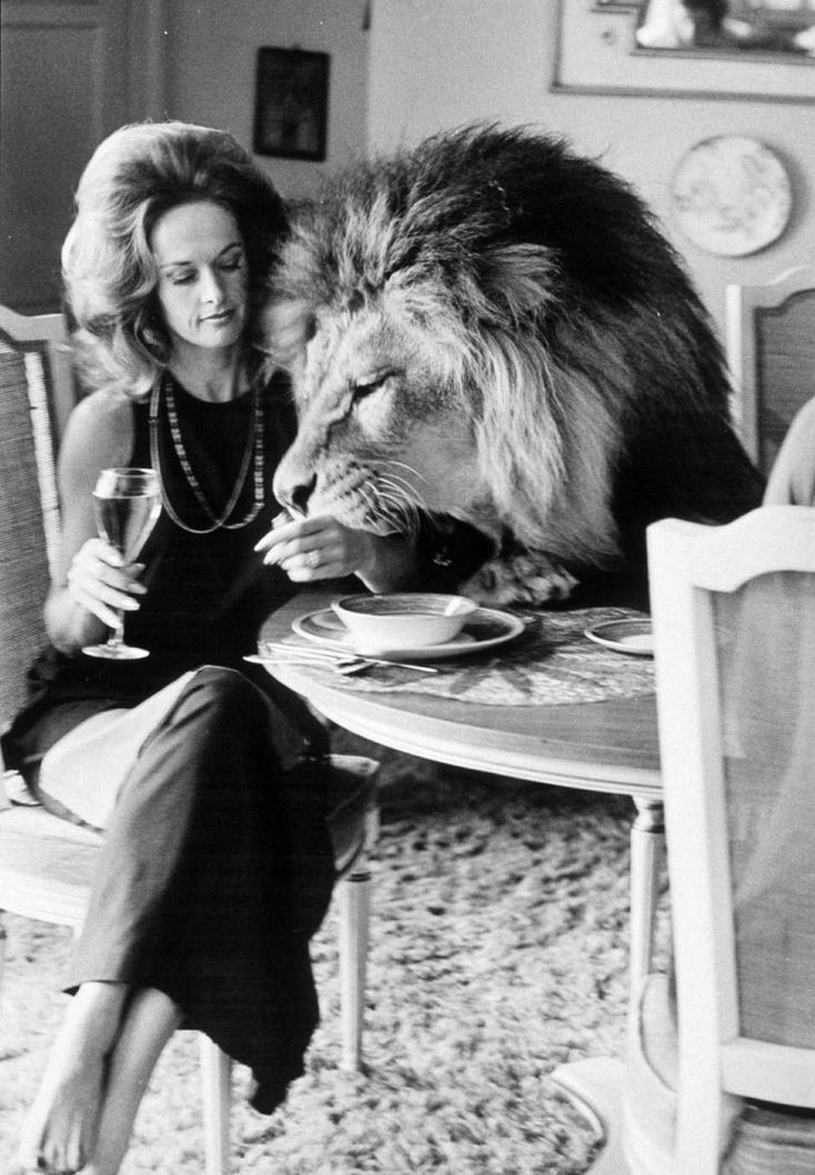 ダコタ ジョンソン 作品 映画 ドラマ 最新情報まとめ みんなの評判 評価が見れる ナウティスモーション