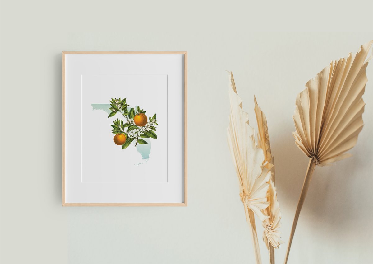 PaperFinchAmy's tweet photo. Hot off the press!! Florida art print, Florida decor, Florida state flower, Florid by PaperFinchDesign https://t.co/DifJVHH7qI via @Etsy https://t.co/SMQ4XJyxWc