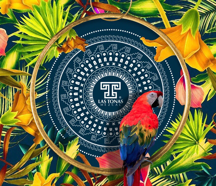 Disfrutemos de las maravillas de la primavera <a href="/lastonasmezcal/">Las Tonas Mezcal</a> #conocetutona #mezcalartesanal #lastonasmezcal