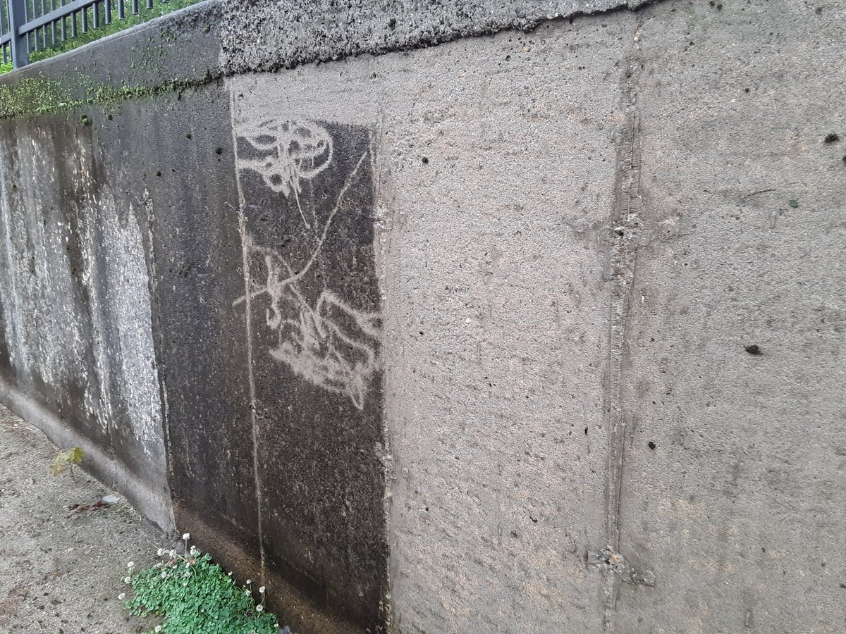 thekitteh5's tweet image. This is a retaining wall that is in an empty lake in #SpfldMA. (The lake is slowly being filled back up.) My Dad and I have been power washing it for two days now.