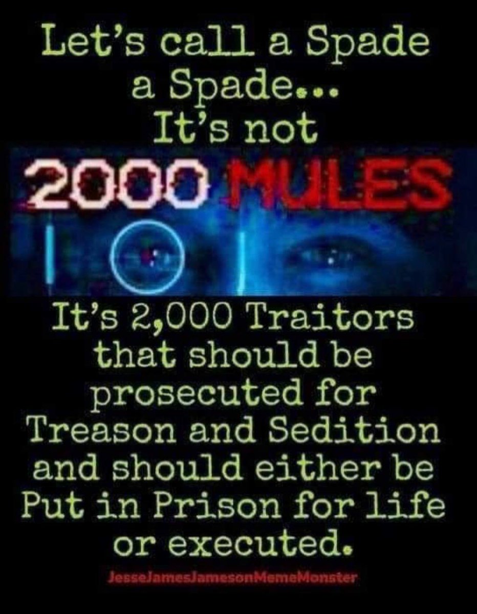 ManOutaTime1888's tweet image. Hey Mark, my teen daughter &amp;amp; I are huge fans. Thx for ton of laughs from the best episode yet!

Wanna top it? Join forces w Dnesh to glitter bomb prank some 2000 Mules + especially the vote centers &amp;amp; financiers supplying them! 

#RestoreElectionIntegrity
2000Mules.com