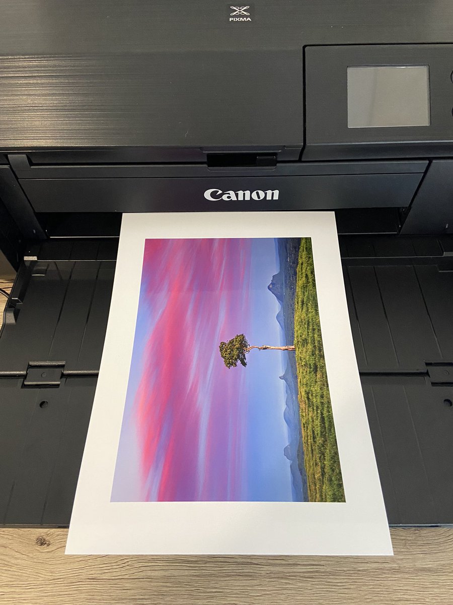 Pavel Kotelevskii Photography tweet media