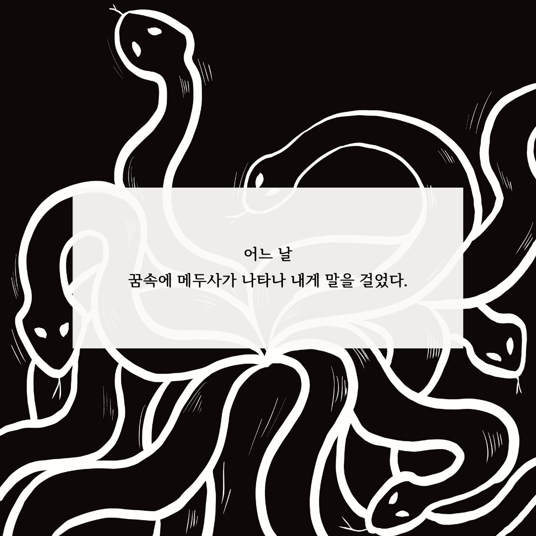 매실(MAESILL) tweet media
