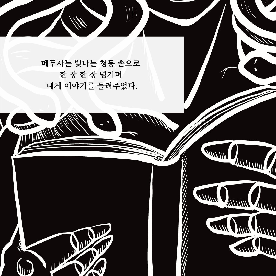 매실(MAESILL) tweet media
