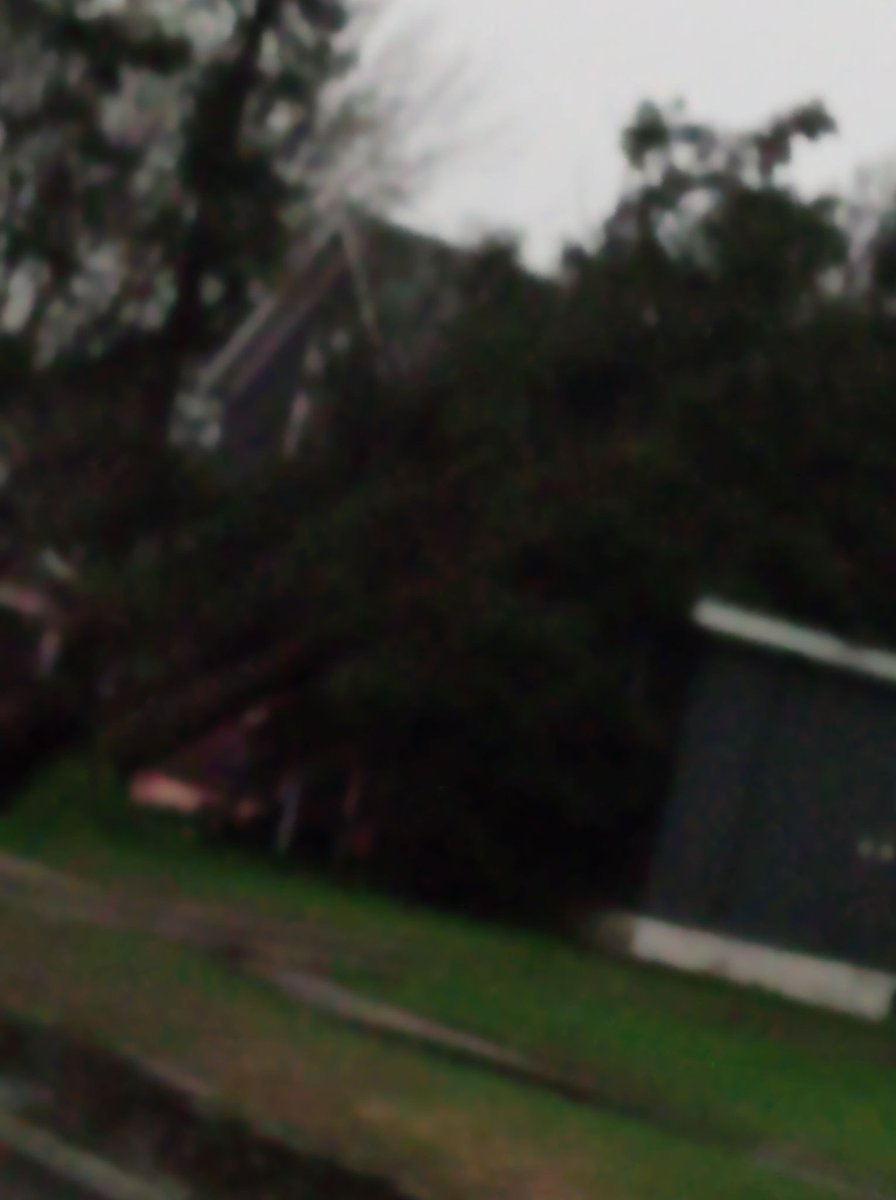 RaeSleepy's tweet photo. Just survived a Tornado, Feeling pretty good. (Lies its terrible and everything is destroyed and trees are everywhere, Roofs are torn off or trees fell on them, powerlines are in the middle of the road, and cars are destroyed. Along with fences and windows) #Tornado https://t.co/bx7UoJB0Ef