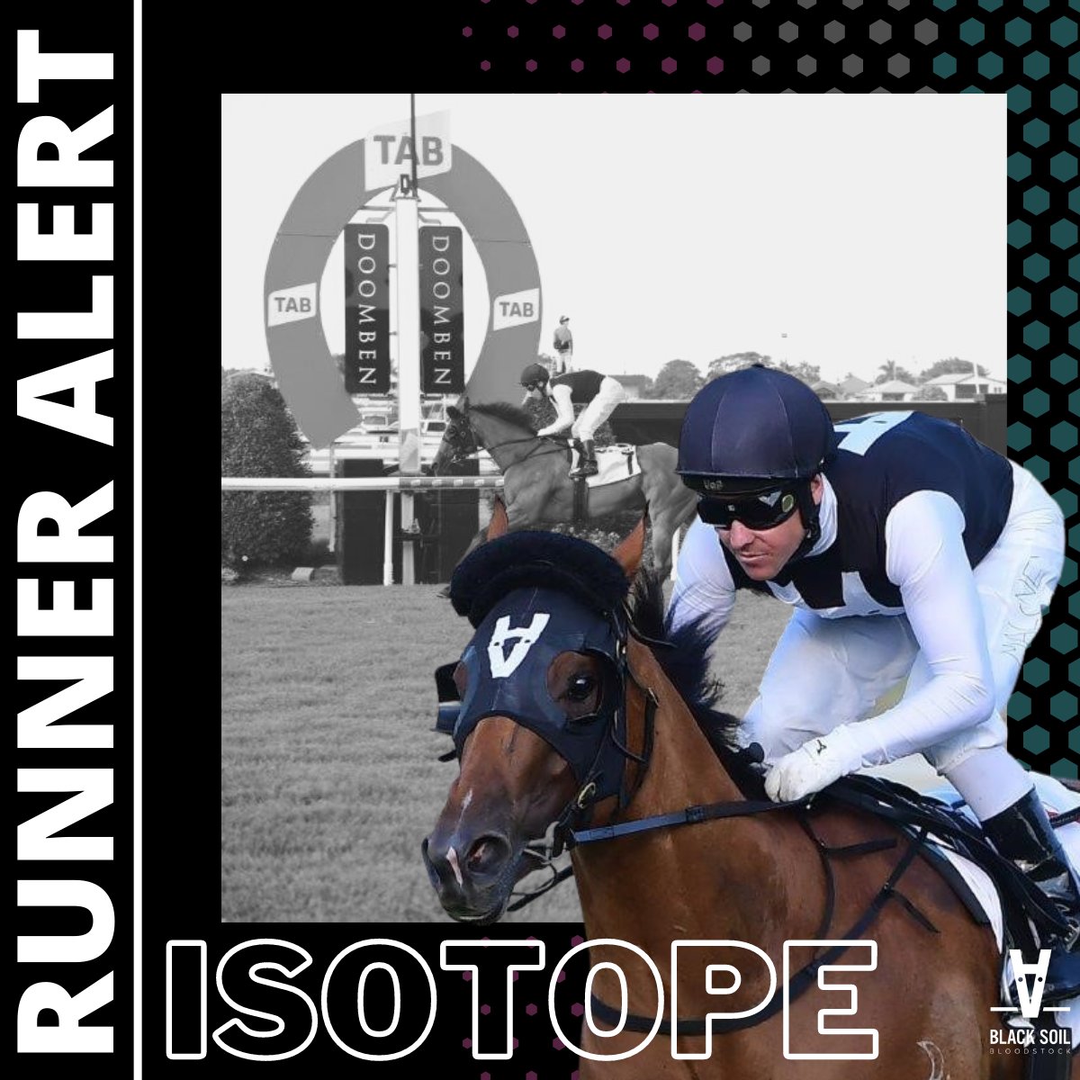 Black_Soil_Bsk's tweet photo. 🚨 RUNNER ALERT

🏇 ISOTOPE
➡️ @tonygollan
➡️ Eagle Farm, Race 8, Group 1 Doomben 10,000, 1200m, 4:02pm.
➡️ Ryan Maloney (56.5kg), Barrier 13.

For the latest instalment of her blog, visit https://t.co/gcSdZluDYl https://t.co/kx7QWNLAhG