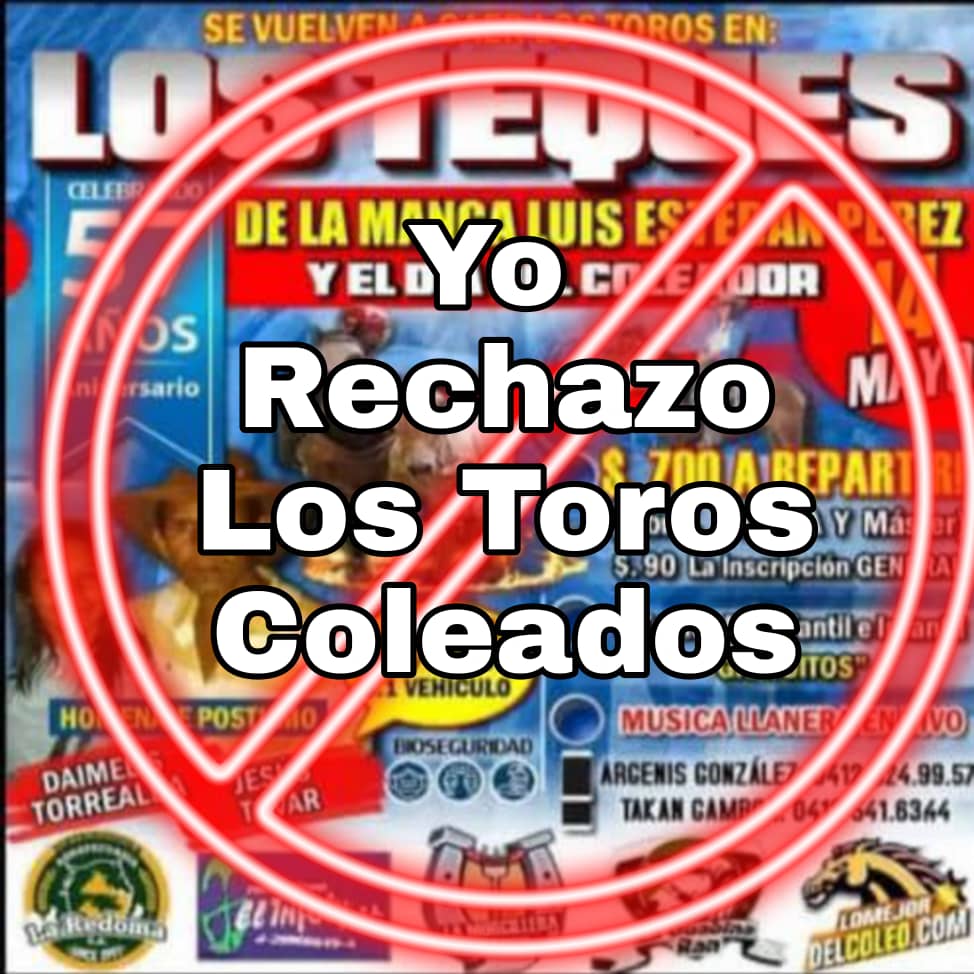 Mañana se torturarán animales en #guaicaipurociudadcapital rechazamos el maltrato a cualquier animal <a href="/farith15/">Farith Fraija</a> gatos o toros sufren igual #NoAlMaltratoAnimal #TorturaNoesCultura