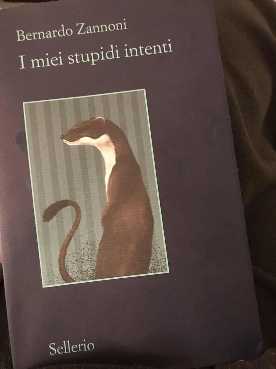 Una scoperta, meravigliosa!, “I miei stupidi intenti”: nel mondo di Beatrix Potter, un romanzo di formazione, una riflessione sul senso della vita, un tragitto verso la morte. La morte che spaventa solo chi conosce le Parole. Con l’eleganza di  @sellerioeditore 
#BernardoZannoni