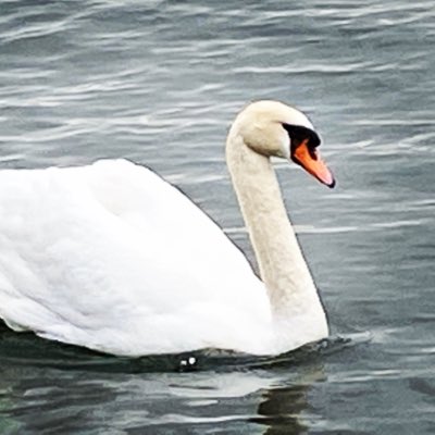 BlockZtyle's tweet image. #NewProfilePic