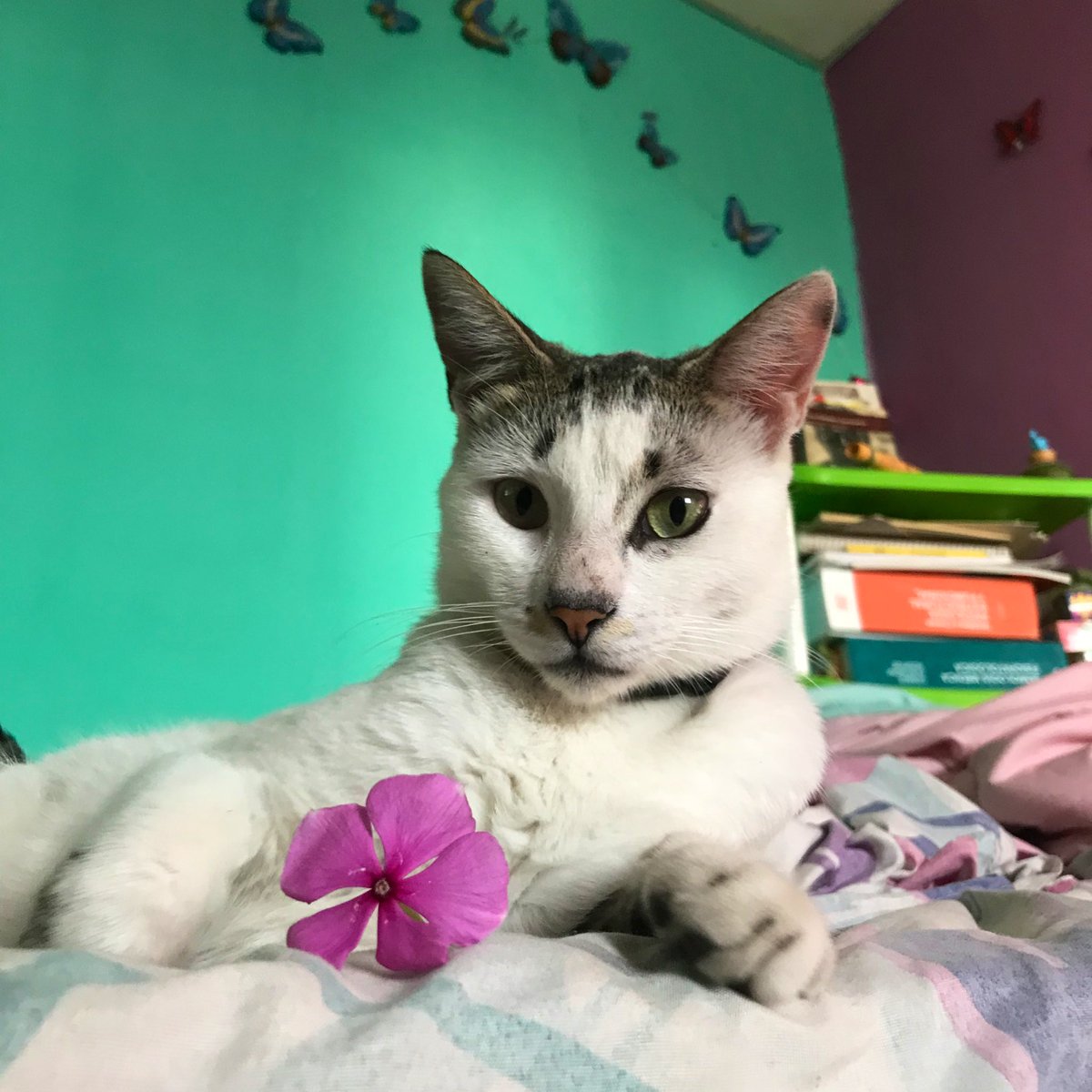 sofffid's tweet photo. y si el día se pone feo, tu me lo haces bonito <3 https://t.co/L1HzPDqZYG