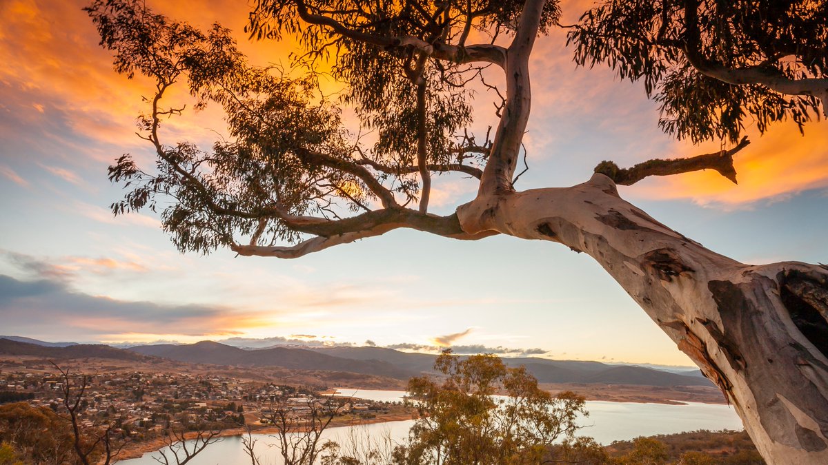 A-RNA starts tomorrow in Thredbo! Looking forward to meeting RNA friends at the feet of Mount Kosciuszko Photo credit Destination NSW. #arna #feelNSW  #meetinNSW