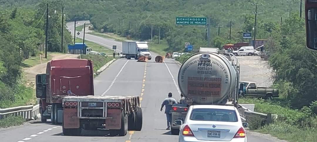 Carretera Victoria- Monterrey bloqueada en ambos sentidos