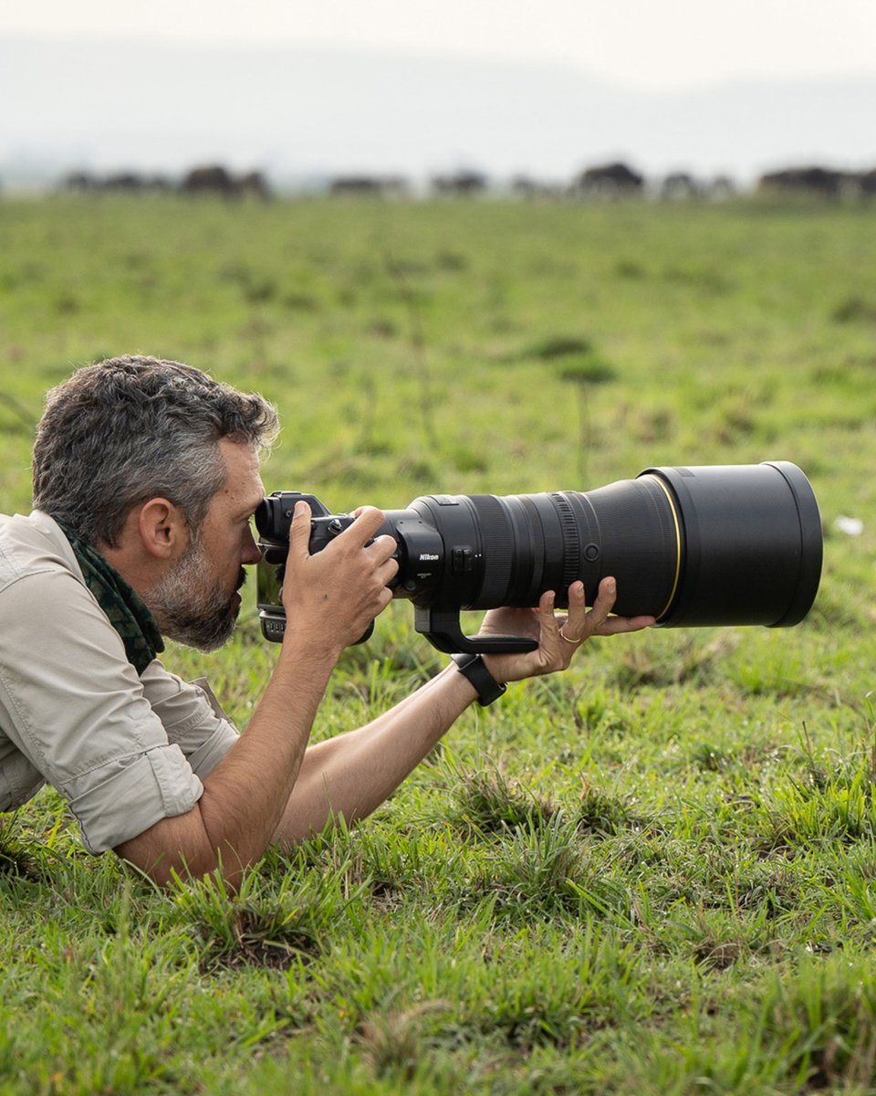 Nikon_Chile's tweet image. ¡Buen viernes #Nikonistas!  Este #FinDeSemana pueden adoptar la posición que deseen, y los haga sentirse más cómodos, pero no dejen de tomar muchas #Fotografías. 📸   ¡¡Eso nunca!! 😜
Lente: NIKKOR Z 400mm f/2.8 TC VR S.
#Nikon #NikonZ #NIKKOR #Lentes #NIKKORZ #Z400mm #Fotografía