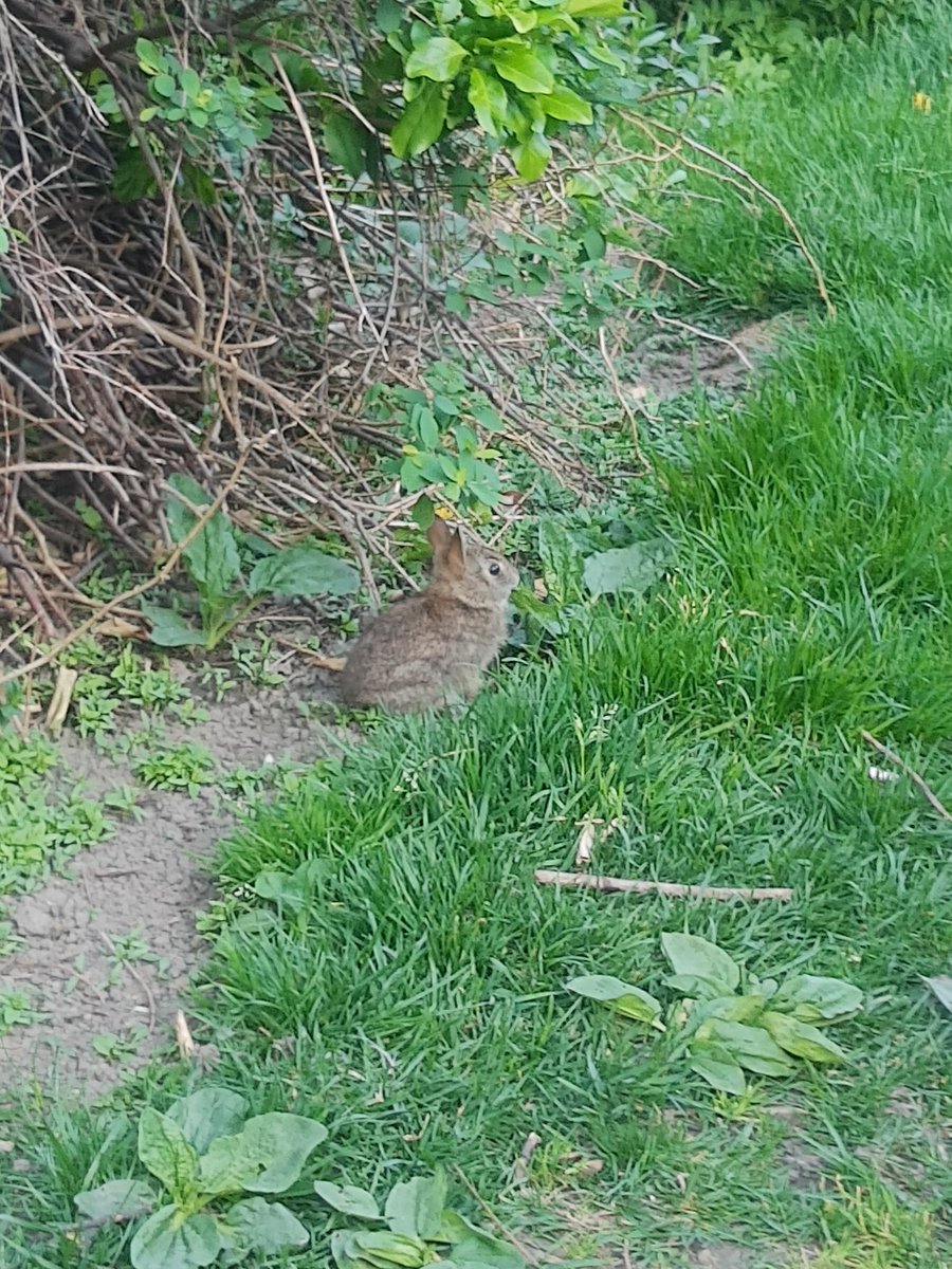 Absurd but Cryptic Stranger tweet media