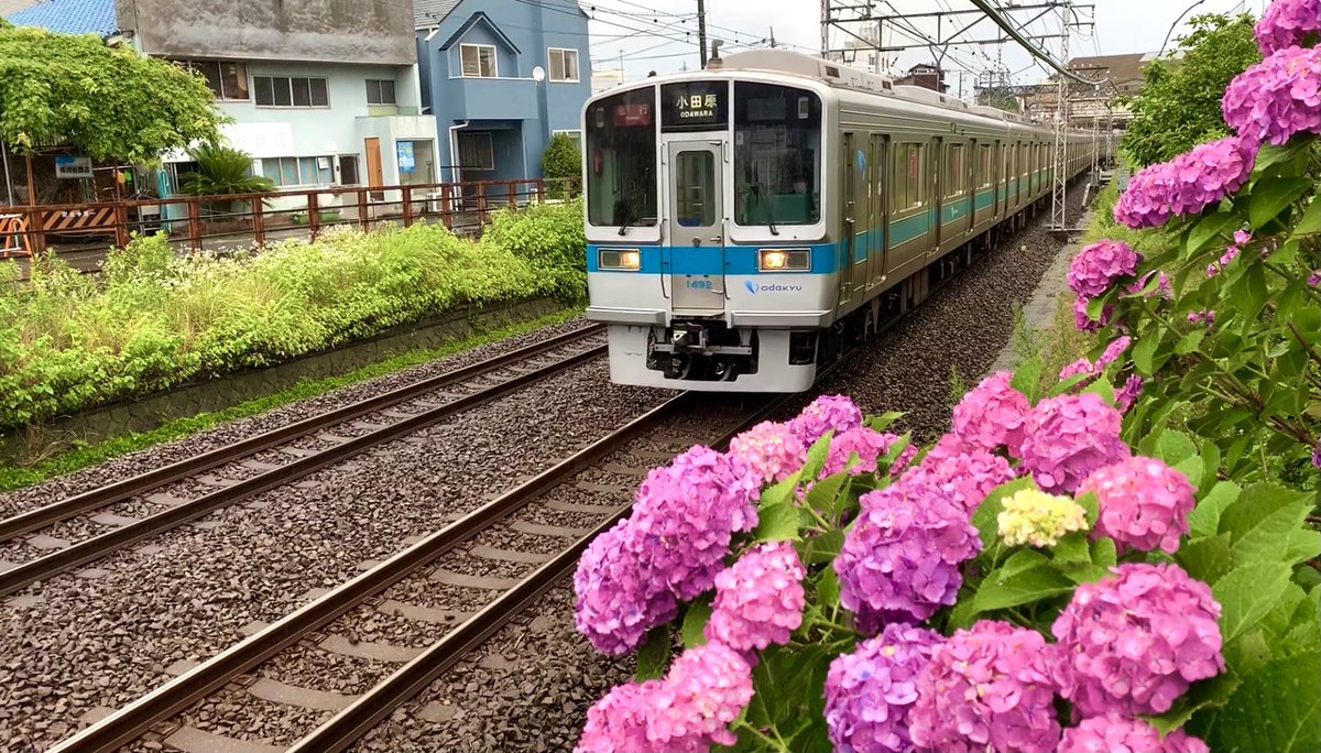 G9iygnS's tweet photo. 【1092Fと4枚の風景】
1000形未更新記録動画その32
この編成は特に好きな編成で良く撮影しました。
#小田急1000形未更新
#1000形未更新
#1092F
#向日葵
#菜の花
#紫陽花
#夕日
#川音川 https://t.co/nXws3Qcs2J