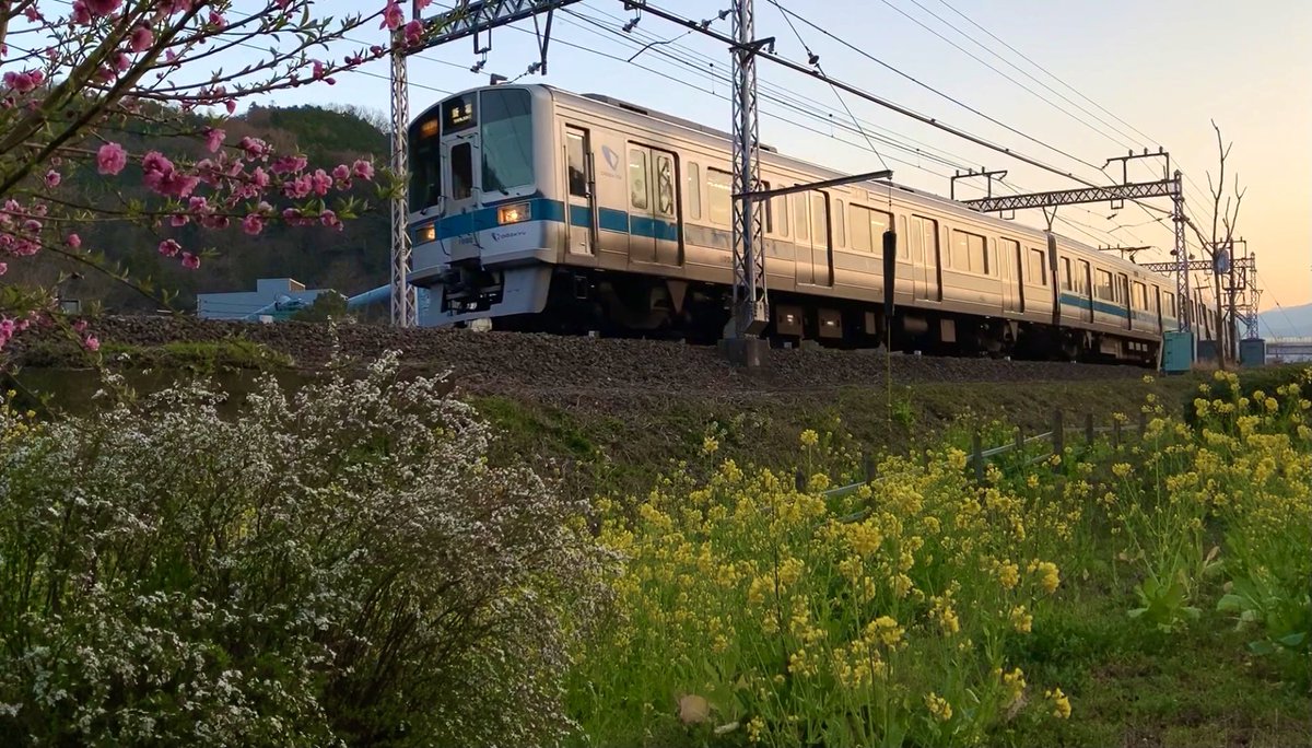 G9iygnS's tweet photo. 【1092Fと4枚の風景】
1000形未更新記録動画その32
この編成は特に好きな編成で良く撮影しました。
#小田急1000形未更新
#1000形未更新
#1092F
#向日葵
#菜の花
#紫陽花
#夕日
#川音川 https://t.co/nXws3Qcs2J