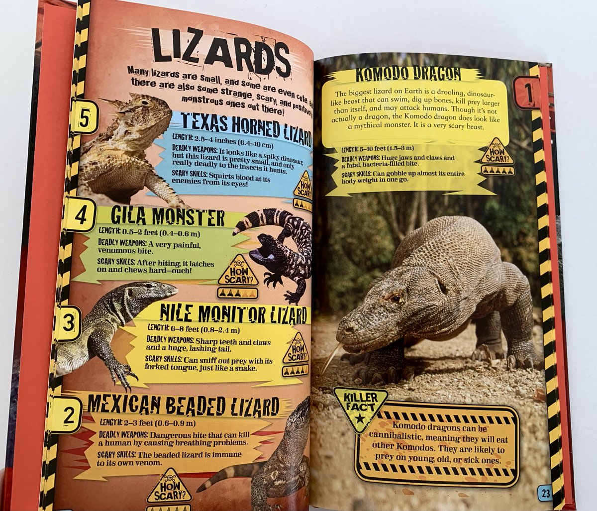 LFLfairfax's tweet photo. Can't wait to share these awesome books!
#lernerbooks #annaclaybourne #quartoknows #laurahamiltonwaxman #rebeccahirsch #jonfishman #littlefreelibrary #fairfaxlittlefreelibraries #fairfaxLFL #LFLfairfax #kidlit #childrensbooks #readmorebooks https://t.co/YtvM1tIQUk