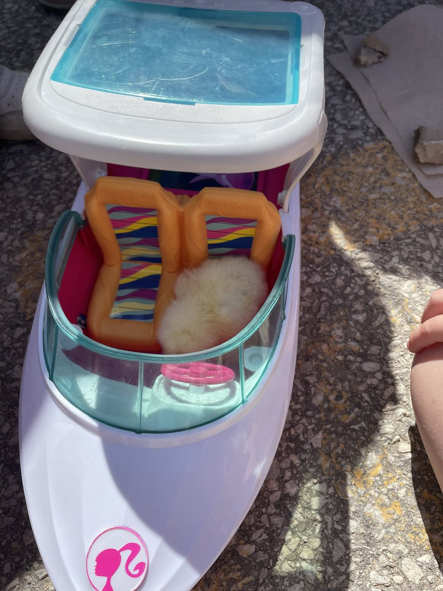 BWDSB Program Department tweet media