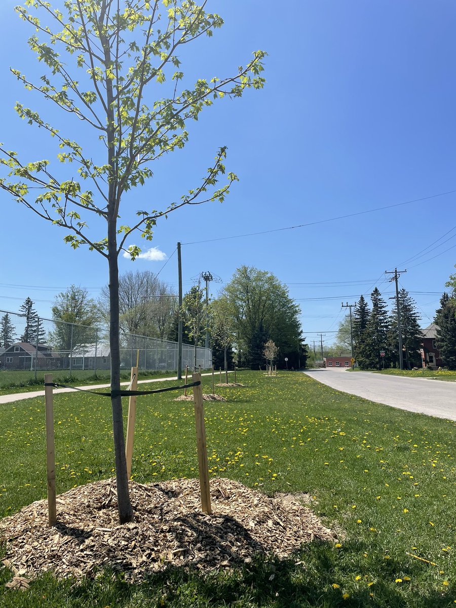 BWDSB Program Department tweet media