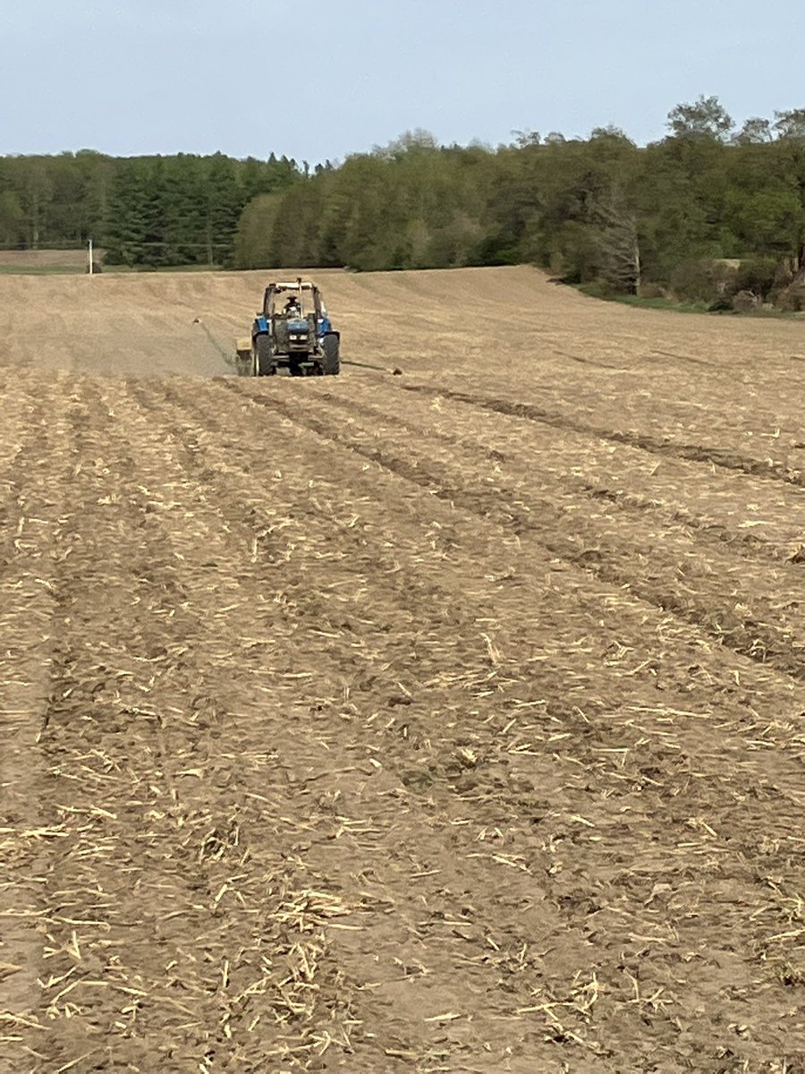 BrentMCS's tweet photo. Corn plot number 4 this week…when u forget the marker stakes u improvise with what’s in your truck https://t.co/87AsIr5x5R