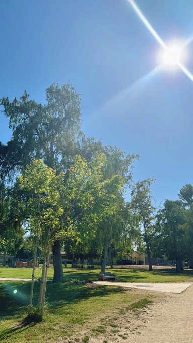 Nothing beats an afternoon walk to regroup and clear the head 💕 https://t.co/sP4HlCLEkU<a href="/tag/contest"class="tags"><span>#contest</span></a><a href="/tag/mustlovedogsdating"class="tags"><span>#mustlovedogsdating</span></a>