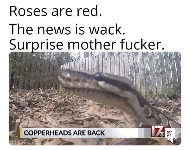 First person I thought of was the <a href="/CobraGrand/">Grand Prairie Cobra</a>.  You still slithering about??