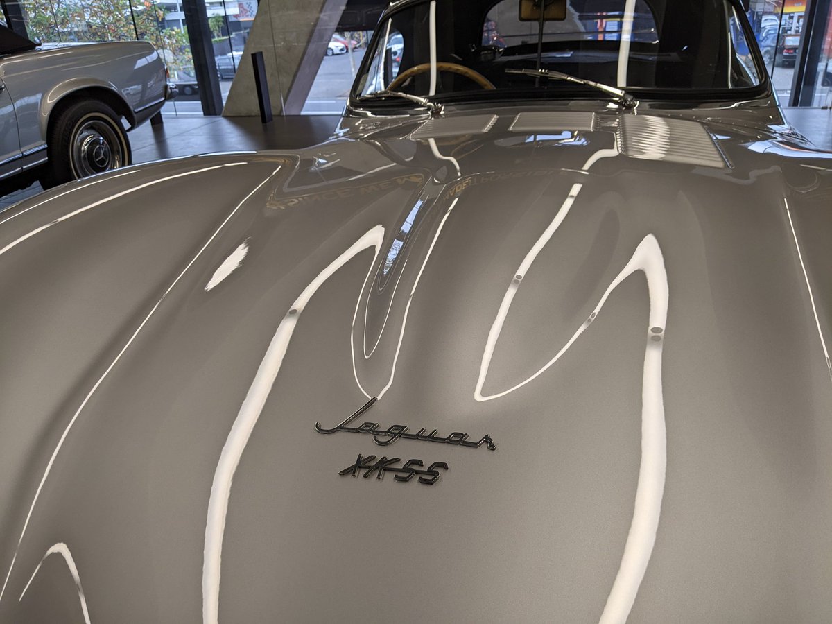 Snugbucket's tweet image. Today in Auckland