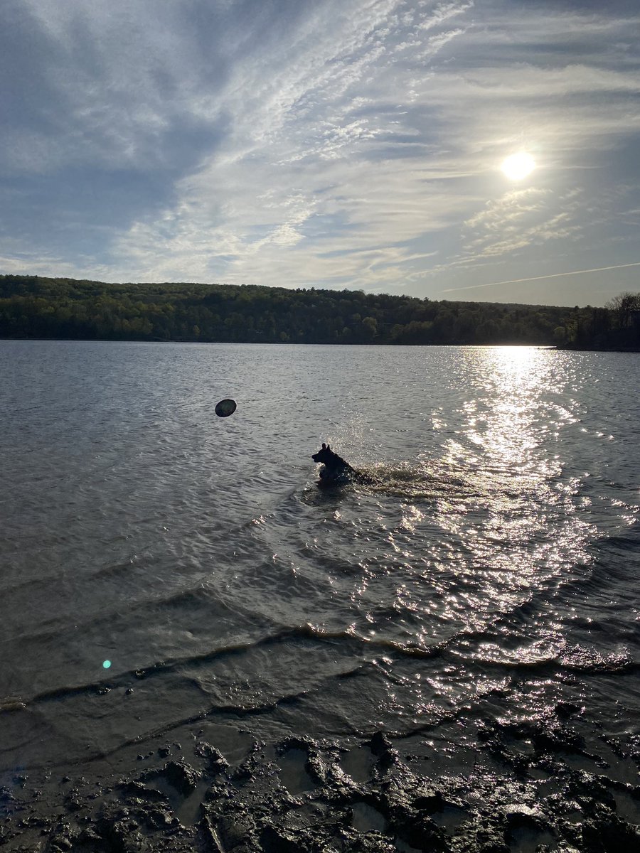 The water levels dropping on the Gatineau meant that we could walk on beach that was normally underwater. And brought us some surprise companions! #GetOutdoors