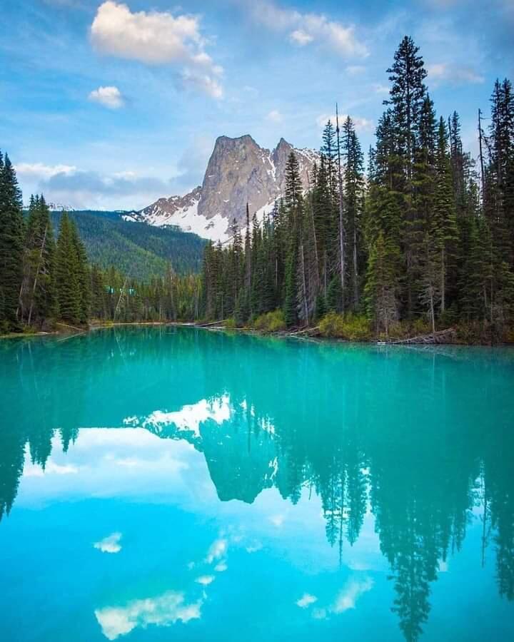 mary_veas1's tweet photo. 🦋Friends Forever🦋
@mary_veas1
@Tania67760329
@Spencerjames211
@Geni1_
@teamdinamicas

@Abanto_E1
@MarcelaErcia
@mas07angel
@IrvingRulo
@fernandomzoboli

@LourdesPass
@halconavicencio
@NewCarlonet
@luzyolapc
@RaulWever

@bdonesem
@de_morenoVR
@sami86pilang
@integral914
@seba_696 https://t.co/Ze2EuGzKJp