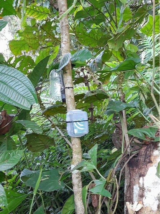 Taty Lopez tweet media