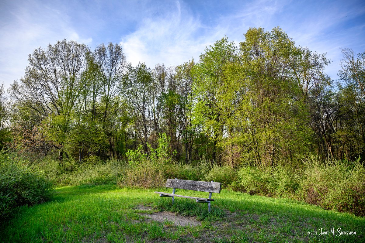 The Park Bench, Kensington Metropark, Milford, Michigan 
<a href="/PureMichigan/">Pure Michigan</a> <a href="/NikonUSA/">NikonUSA</a> <a href="/MichiganDNR/">Michigan Department of Natural Resources</a> <a href="/MIMetroparks/">Metroparks</a> <a href="/USFWSMidwest/">Archived: USFWS Midwest Region</a> #nikonnofilter #spring #TwitterNatureCommunity #parkbench #kensingtonmetropark