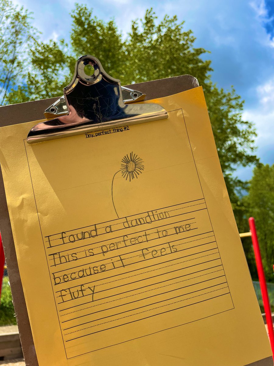 MsAlbertisClass's tweet image. Day 11 #walkingcurriculum challenge: Tiny Perfect Things walk!