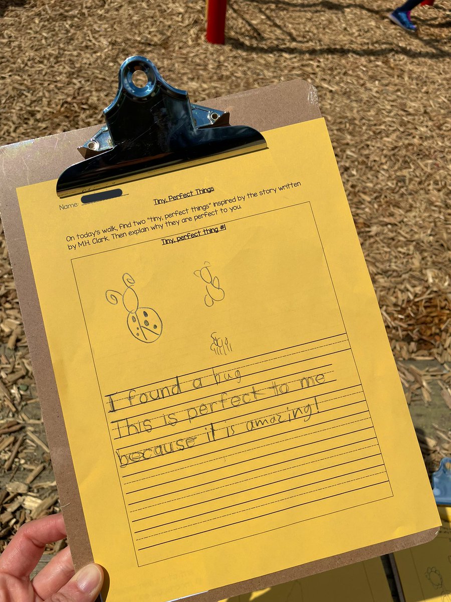 MsAlbertisClass's tweet image. Day 11 #walkingcurriculum challenge: Tiny Perfect Things walk!