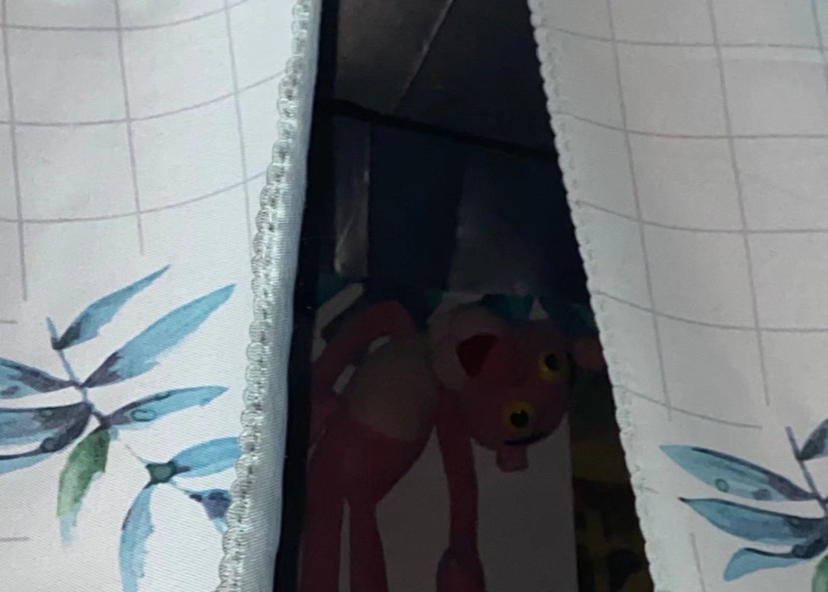 刚睡醒抬头一看…和对面的粉红豹对视了，你真的吓死我了！！！！