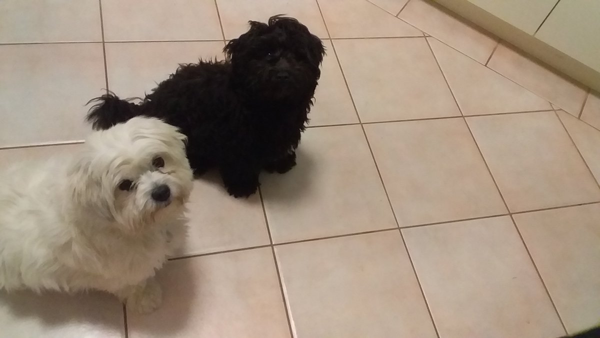 MovementFull's tweet image. Good morning