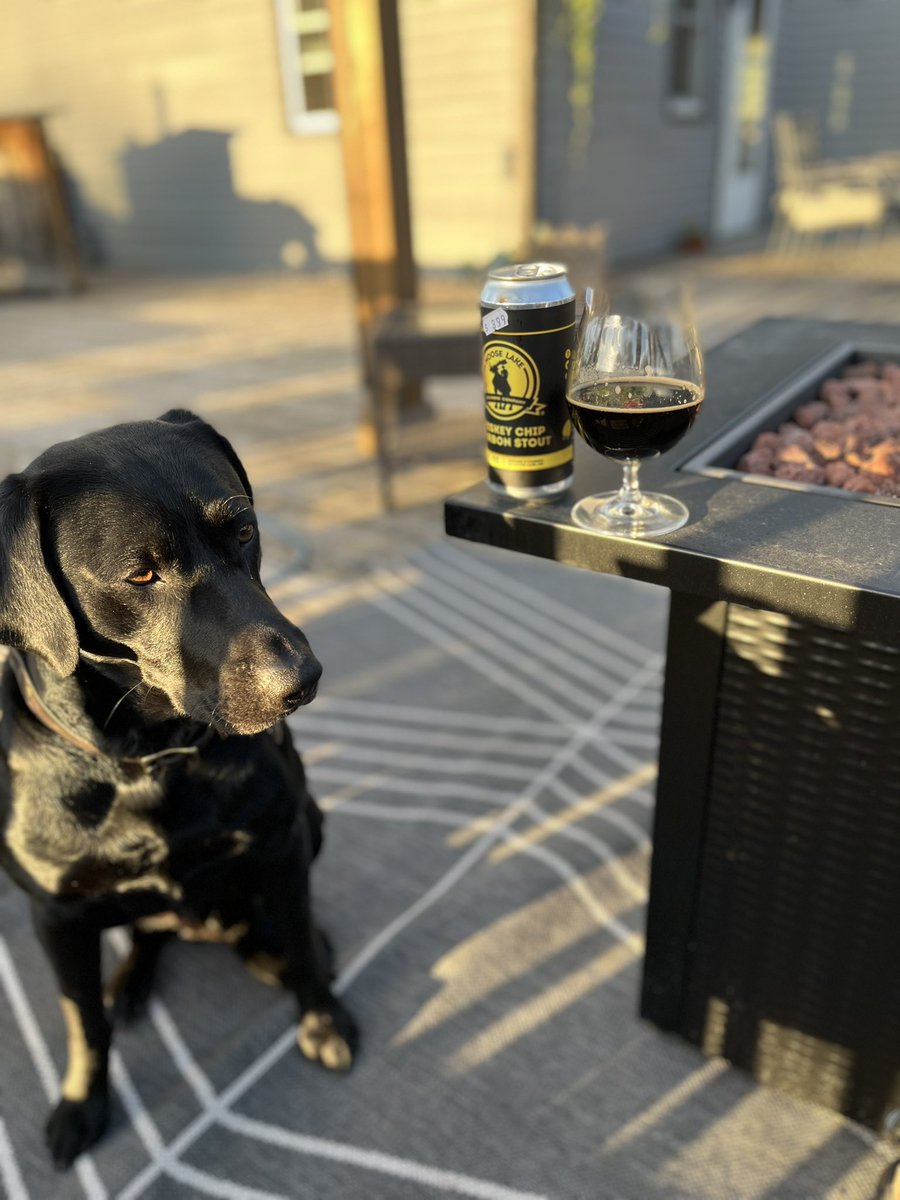 the_don_don_'s tweet photo. @MooseLakeBrew  great night for a whiskey chip! https://t.co/9mACAdnyiK