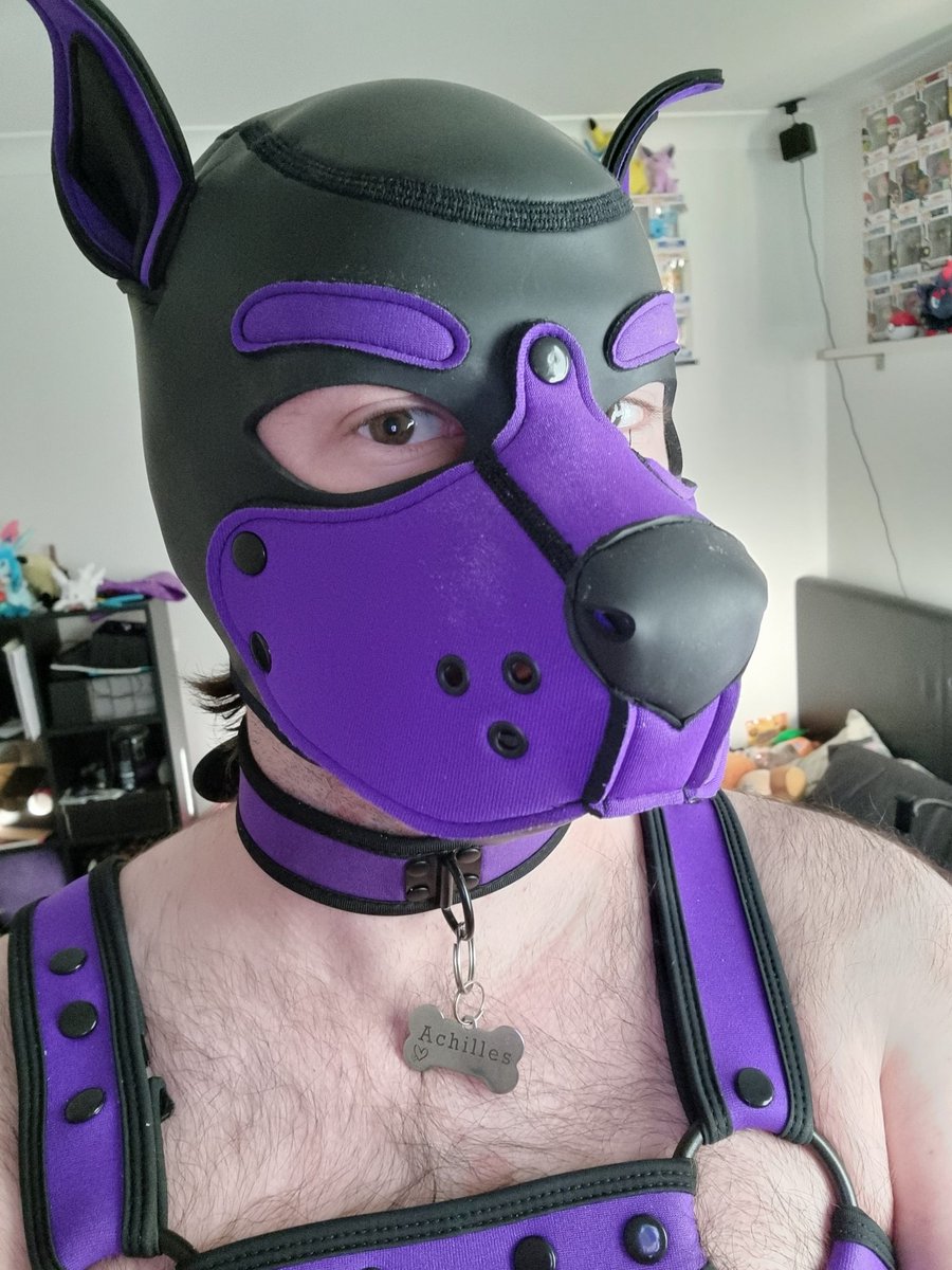 Achilles__Pup's tweet photo. Wruff! My name tag arrived today and I couldn't be happier!!
#gaysyd #pupplay #submissivepup #puppyplay #kink #gaykink #leather #dompup #gayaus https://t.co/jzEzbm6fD4