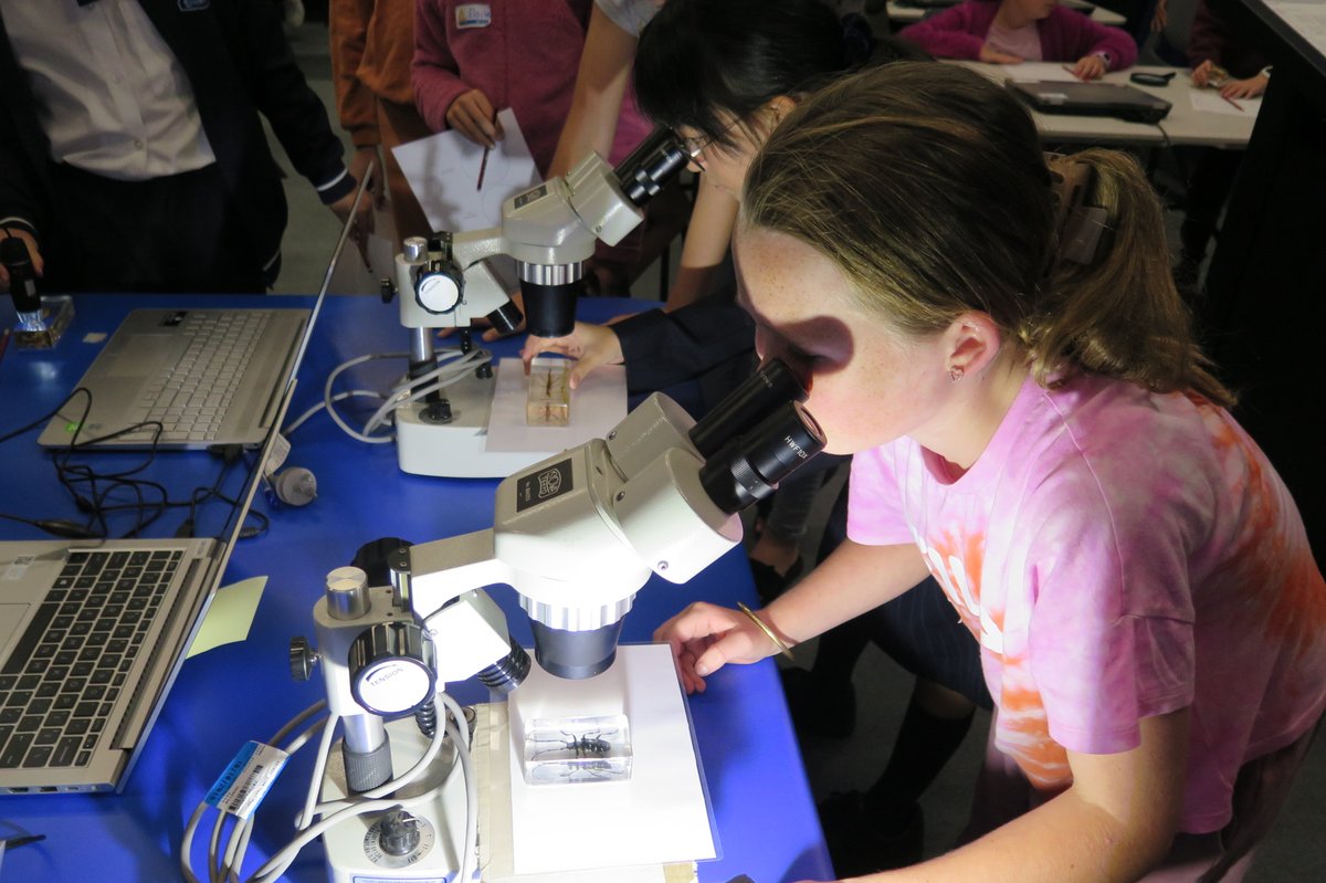 Stephanie McCready tweet media