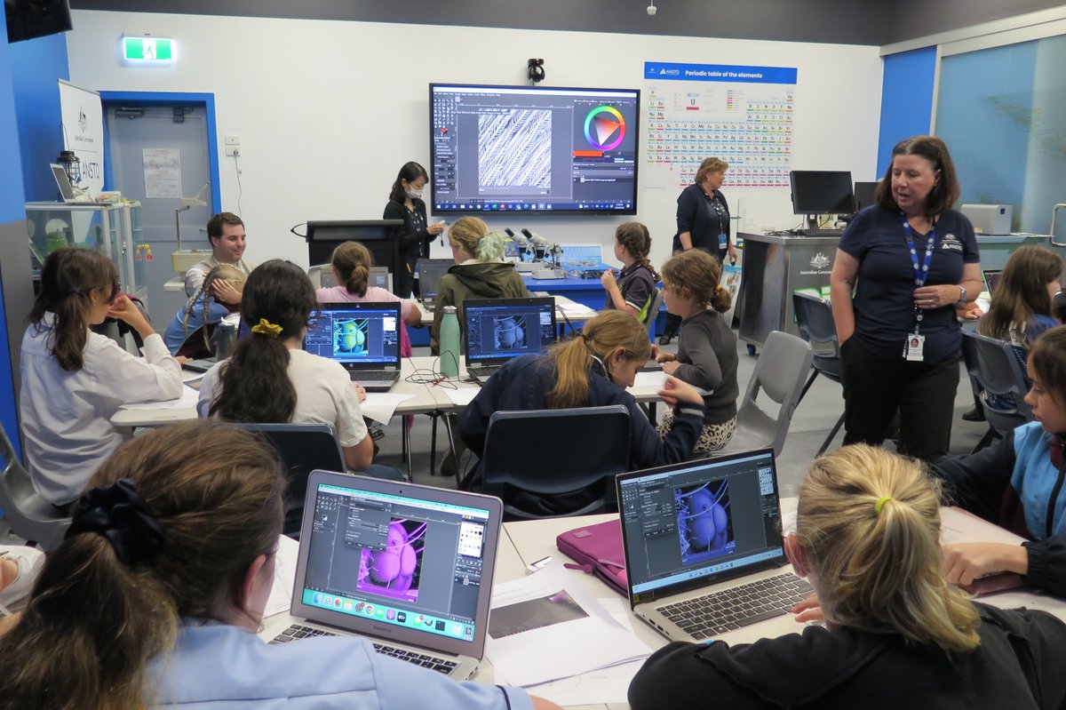 Stephanie McCready tweet media