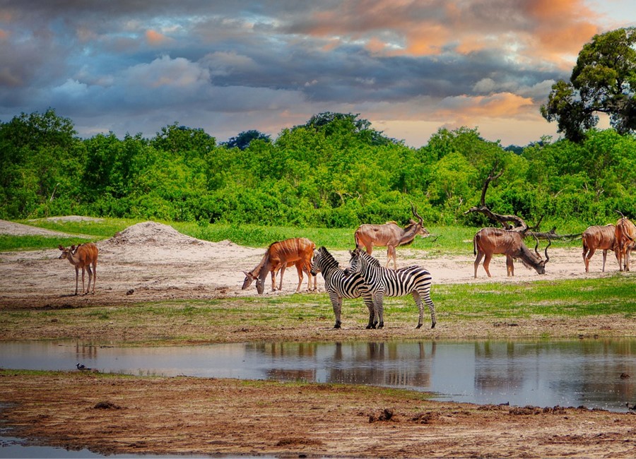 Indus Travels tweet media