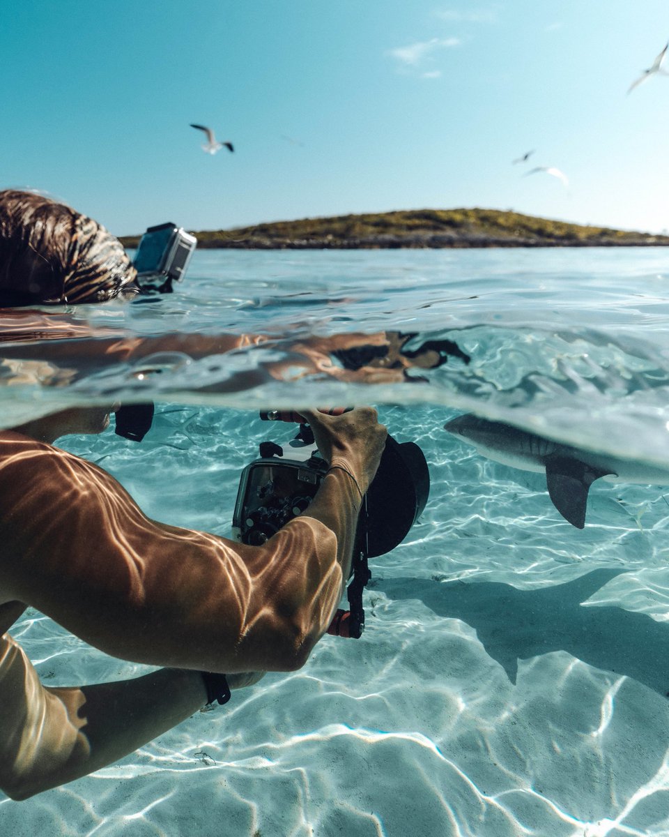 Banner🤙🏽 tweet media