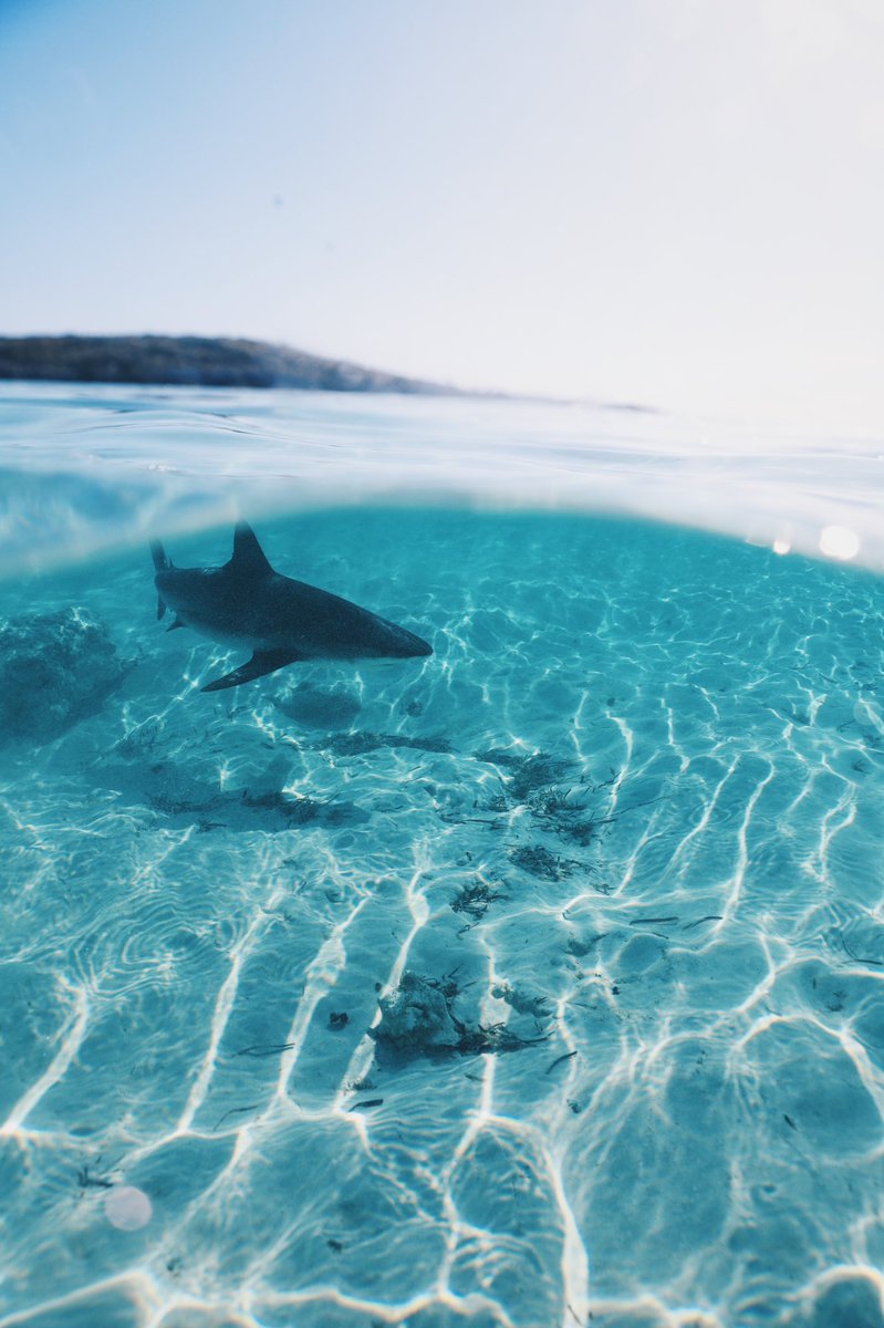 Banner🤙🏽 tweet media