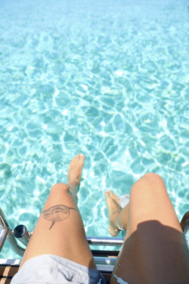 Banner🤙🏽 tweet media