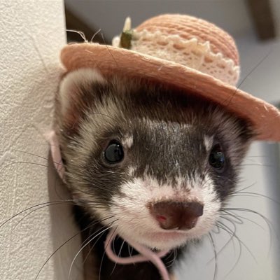 consent2k's tweet photo. #NeuesProfilbild https://t.co/SSX7cSGbmN