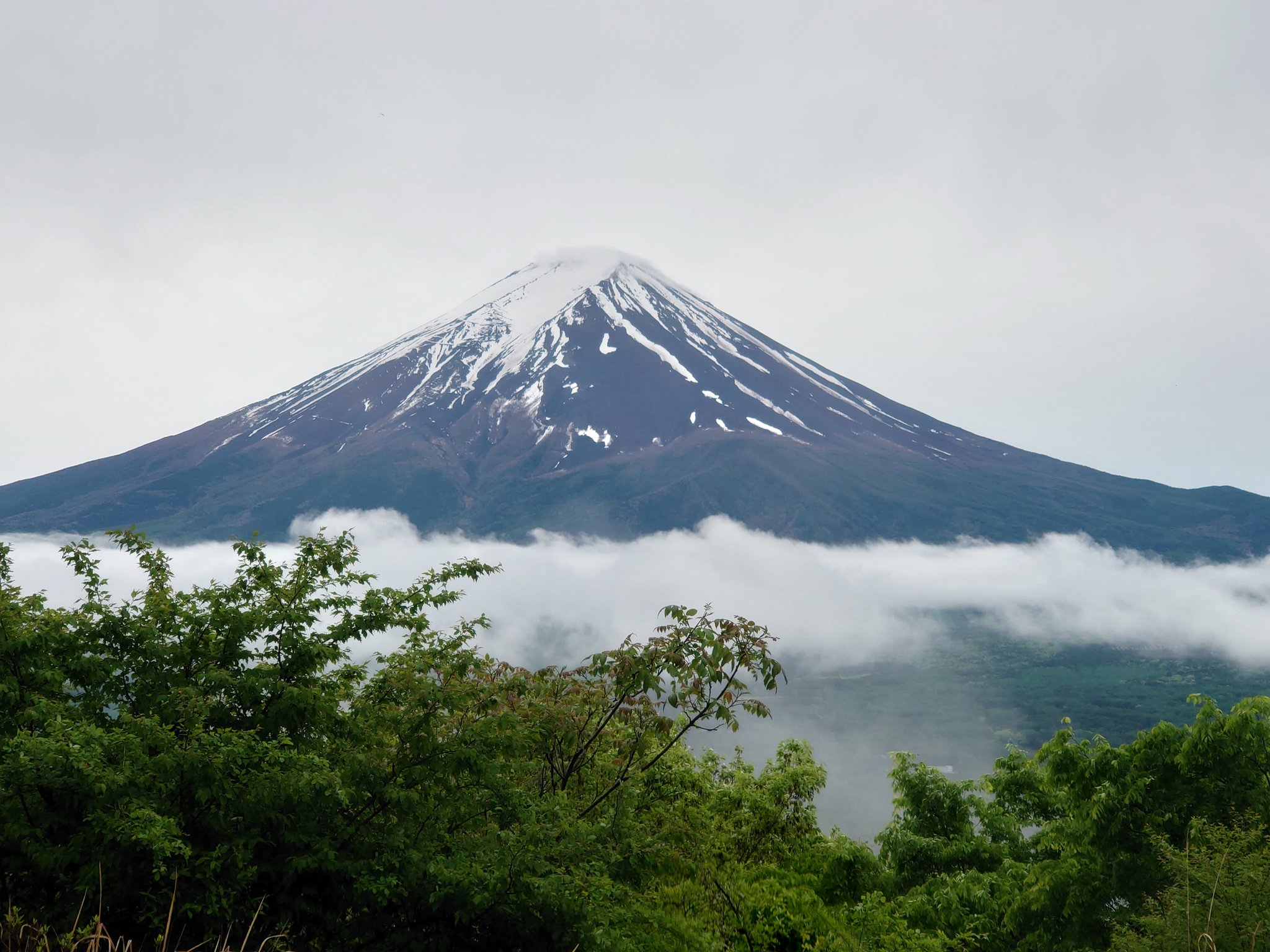 河口湖 富士山パノラマロープウェイ 公式 Kachi2 Yama Twitter