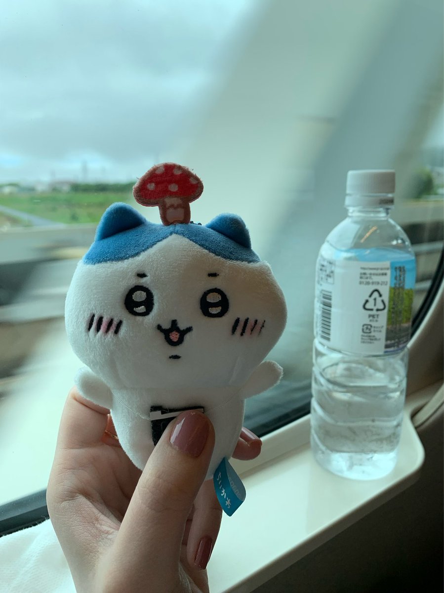 maco___official's tweet photo. おはよう〜🧃
今日はNA GO YA。楽しみ🤹🏻‍♀️♡

#MACO
#WePromisedTour2022 https://t.co/91wkck1K6v